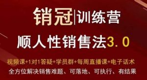 爆款！销冠训练营3.0之顺人性销售法，全方位解决销售难题、可落地、可执行、有结果-最全资源库
