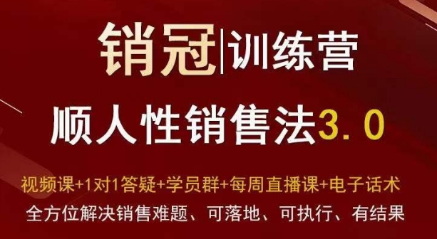 爆款！销冠训练营3.0之顺人性销售法，全方位解决销售难题、可落地、可执行、有结果-最全资源库