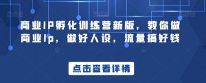 商业IP孵化训练营新版,教你做商业Ip,做好人设,流量搞好钱-最全资源库