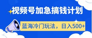 视频号加急搞钱计划，蓝海冷门玩法，日入500+【揭秘】-最全资源库