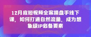12月底短视频全案操盘手线下课，如何打通自然流量，成为想象级IP必备要素-最全资源库