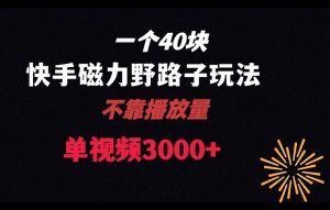 一个40块，快手联合美团磁力新玩法，无视机制野路子玩法，单视频收益4位数【揭秘】-最全资源库