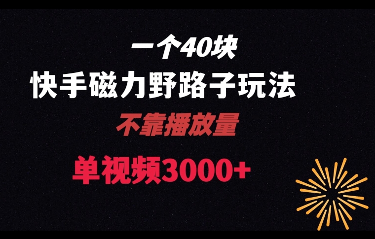 一个40块，快手联合美团磁力新玩法，无视机制野路子玩法，单视频收益4位数【揭秘】-最全资源库