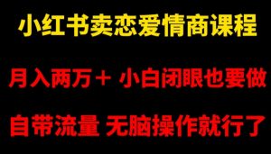 小红书卖恋爱情商课程，月入两万＋，小白闭眼也要做，自带流量，无脑操作就行了【揭秘】-最全资源库