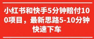 小红书和快手5分钟赔付100项目，最新思路5-10分钟快速下车【仅揭秘】-最全资源库