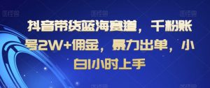 抖音带货蓝海赛道,千粉账号2W+佣金,暴力出单,小白1小时上手【揭秘】-最全资源库