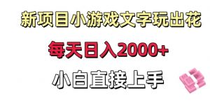 新项目小游戏文字玩出花日入2000+，每天只需一小时，小白直接上手【揭秘】-最全资源库