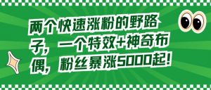 两个快速涨粉的野路子，一个特效+神奇布偶，粉丝暴涨5000起【揭秘】-最全资源库