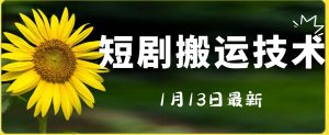 最新短剧搬运技术，电脑手机都可以操作，不限制机型-最全资源库