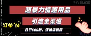 最新情趣项目引流全渠道，自带高流量，保姆级教程，轻松破百单，日引500+粉【揭秘】-最全资源库