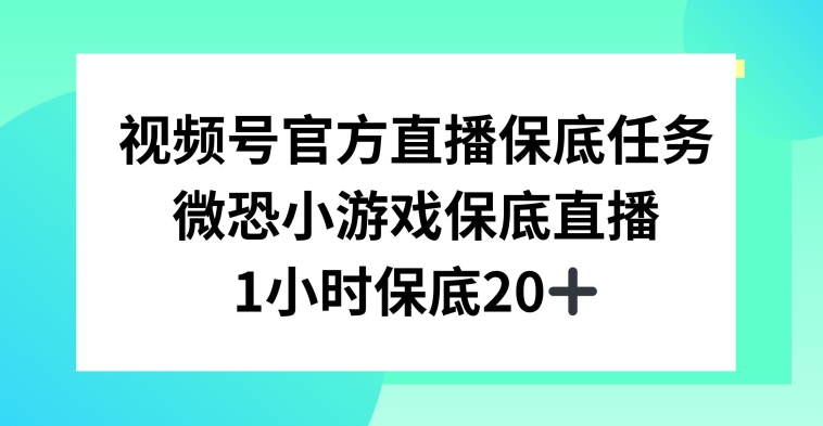 视频号直播任务，微恐小游戏，1小时20+【揭秘】-最全资源库