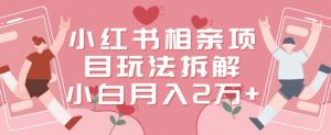 小红书相亲项目玩法拆解，有人通过这个副业项目做到了月收入2万多【揭秘】-最全资源库