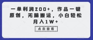 一单利润200+，作品一键原创，无脑搬运，小白轻松月入1W+【揭秘】-最全资源库