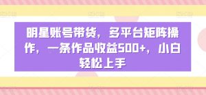 明星账号带货，多平台矩阵操作，一条作品收益500+，小白轻松上手【揭秘】-最全资源库