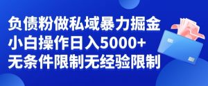 负债粉私域暴力掘金，小白操作入5000，无经验限制，无条件限制【揭秘】-最全资源库