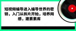 短视频编导进入编导世界的密钥，入门从拆片开始，培养网感，建素素库-最全资源库
