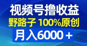视频号野路子撸收益,100%原创,条条爆款,月入6000+【揭秘】-最全资源库