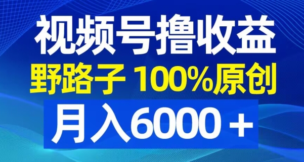 视频号野路子撸收益，100%原创，条条爆款，月入6000＋【揭秘】-最全资源库