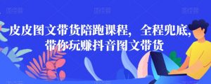 皮皮图文带货陪跑课程,全程兜底,带你玩赚抖音图文带货-最全资源库