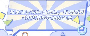 私域运营实操培训课,引流获客+转化变现双增长驱动-最全资源库