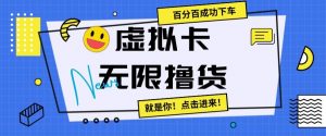 虚拟卡无限撸货，百分百成功下车【仅揭秘】-最全资源库