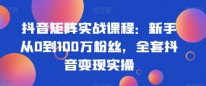 抖音矩阵实战课程:新手从0到100万粉丝,全套抖音变现实操-最全资源库