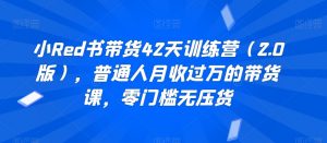 小Red书带货42天训练营（2.0版），普通人月收过万的带货课，零门槛无压货-最全资源库