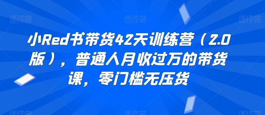 小Red书带货42天训练营（2.0版），普通人月收过万的带货课，零门槛无压货-最全资源库