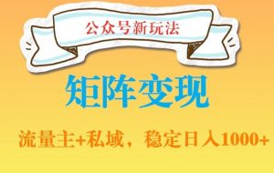 公众号软件玩法私域引流网盘拉新，多种变现，稳定日入1000【揭秘】-最全资源库