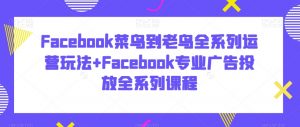 Facebook菜鸟到老鸟全系列运营玩法+Facebook专业广告投放全系列课程-最全资源库