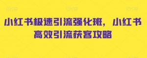 小红书极速引流强化班，小红书高效引流获客攻略-最全资源库