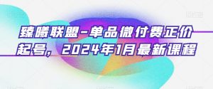 臻曦联盟-单品微付费正价起号，2024年1月最新课程-最全资源库