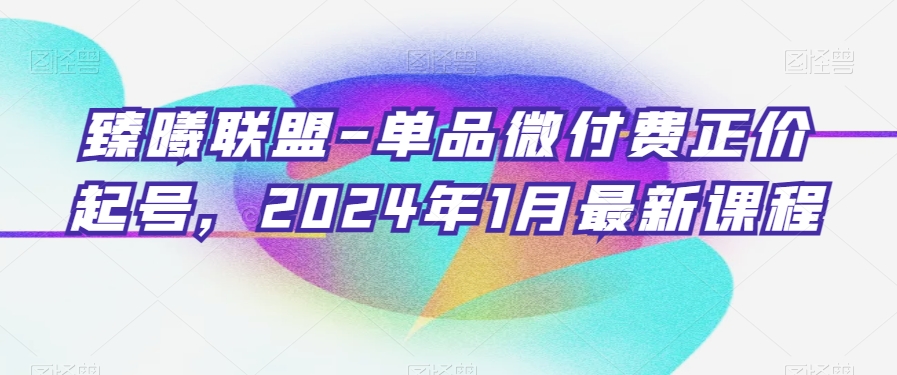 臻曦联盟-单品微付费正价起号,2024年1月最新课程-最全资源库