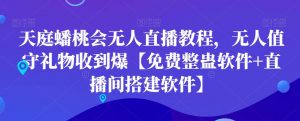 天庭蟠桃会无人直播教程，无人值守礼物收到爆【免费整蛊软件+直播间搭建软件】-最全资源库