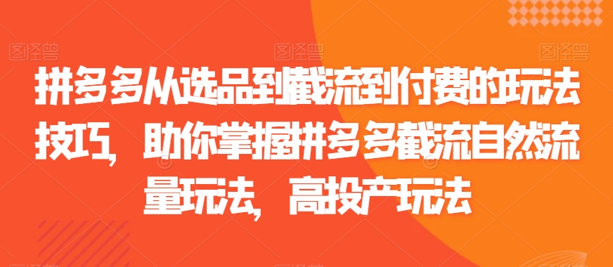 拼多多从选品到截流到付费的玩法技巧,助你掌握拼多多截流自然流量玩法,高投产玩法-最全资源库