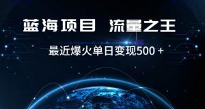 好评返现项目，稳定，小白速学月入过万【仅揭秘】-最全资源库