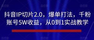 抖音IP切片2.0，爆单打法，千粉账号5W收益，从0到1实战教学【揭秘】-最全资源库