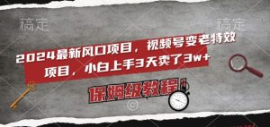 2024最新风口项目，视频号变老特效项目，电脑小白上手3天卖了3w+，保姆级教程【揭秘】-最全资源库