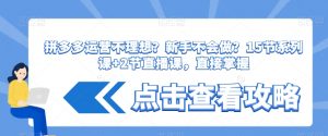 拼多多运营不理想？新手不会做？​15节系列课+2节直播课，直接掌握-最全资源库