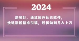 2024新项目，通过国外社交软件，快速涨粉精准引流，轻松做到月入上万【揭秘】-最全资源库
