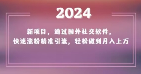 2024新项目，通过国外社交软件，快速涨粉精准引流，轻松做到月入上万【揭秘】-最全资源库