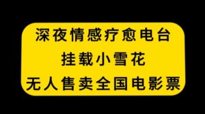 深夜情感疗愈电台，挂载小雪花，无人售卖全国电影票【揭秘】-最全资源库