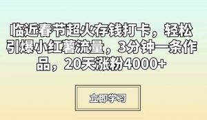 临近春节超火存钱打卡，轻松引爆小红薯流量，3分钟一条作品，20天涨粉4000+【揭秘】-最全资源库