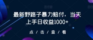 最新野路子暴力赔付，当天上手日收益1000+【仅揭秘】-最全资源库