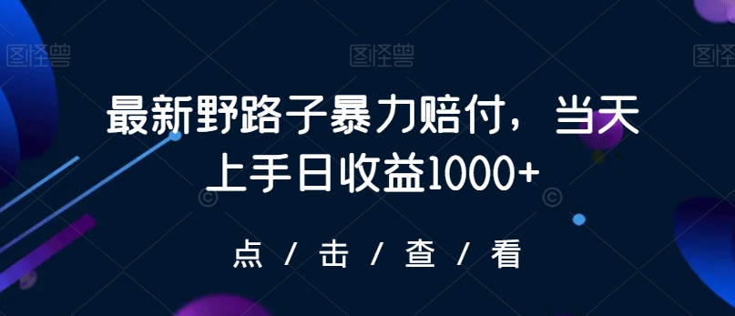 最新野路子暴力赔付，当天上手日收益1000+【仅揭秘】-最全资源库