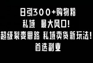 日引300+购物粉，超级裂变思路，私域卖货新玩法，小红书首选副业【揭秘】-最全资源库
