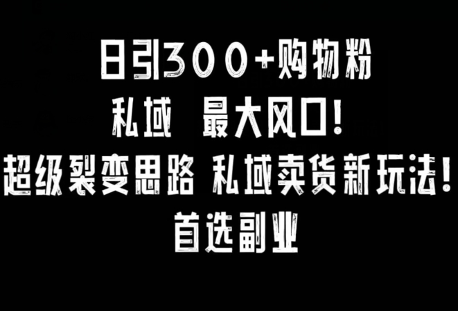 日引300+购物粉,超级裂变思路,私域卖货新玩法,小红书首选副业【揭秘】-最全资源库