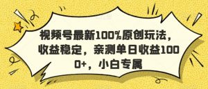 视频号最新100%原创玩法，收益稳定，亲测单日收益1000+，小白专属【揭秘】-最全资源库