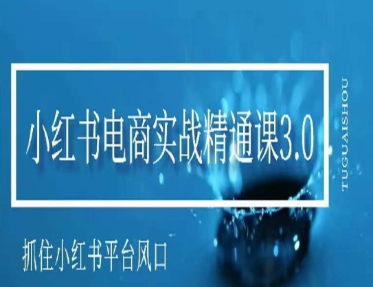 小红书电商实战精通课3.0，抓住小红书平台的风口，不错过有一个赚钱的机会-最全资源库