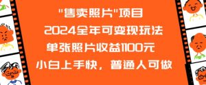 2024全年可变现玩法”售卖照片”单张照片收益1100元小白上手快，普通人可做【揭秘】-最全资源库